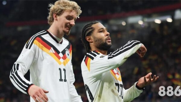 2026FIFA世界杯乐鱼体育app介绍：数据与体验全解析