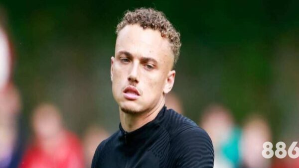 2026FIFA世界杯：kaiyun物流在赛事物流中的重要性